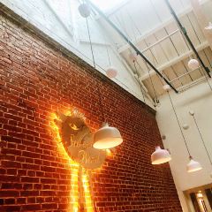 sweet bird User Photo