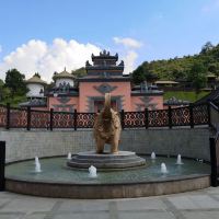 評論圖片 4