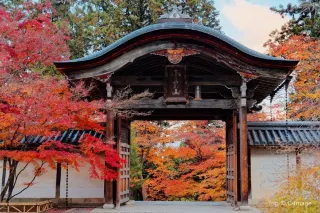 Arashiyama: Neighbourhood You Cannot Miss in Kyoto