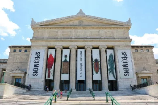 30 Fun Things to Do in Chicago for New Year 2026