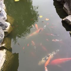 海边渔家 User Photo