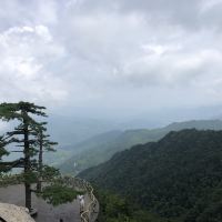評論圖片 1