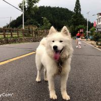 評論圖片 8