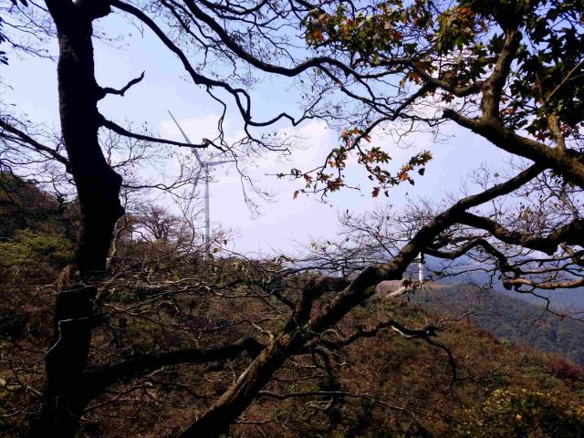 Daxiong Mountain National Forest Park