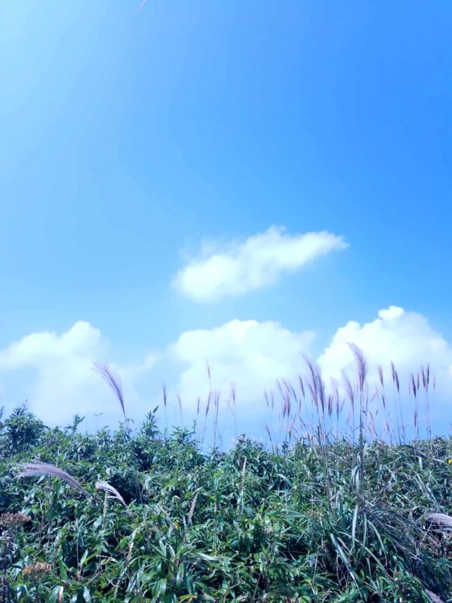 Daxiong Mountain National Forest Park