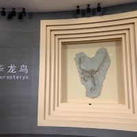 評論圖片 1