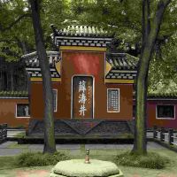 評論圖片 7
