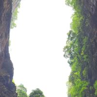 評論圖片 2
