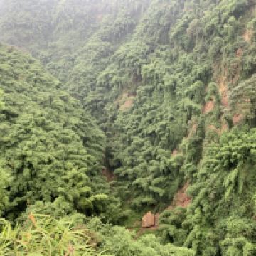 評論圖片 6