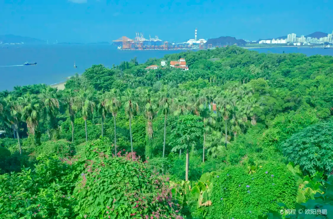 Hotel in zona Xiamen Overseas Chinese Subtropical Plant Introduction Garden