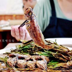 Jianguo 328 User Photo