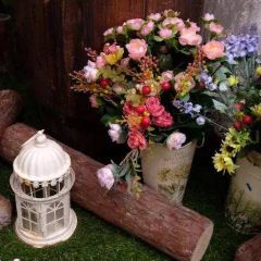 Yin ZheiLi ChengShi KeTing User Photo