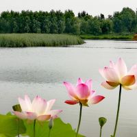 評論圖片 3