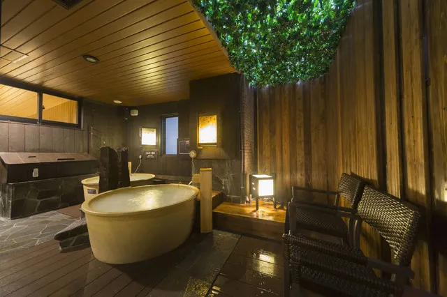 The Journey is Not Complete Until You Soak in The Hot Springs of These Tokyo Hotels