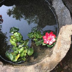 수연산방 여행 사진