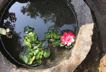 Suyeon Sanbang User Photo