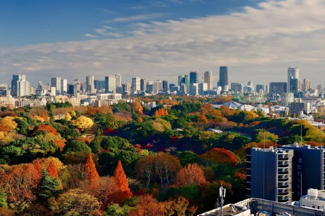 The Ultimate Guide for Wedding Photo Spots in Tokyo