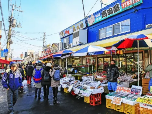 Popular Restaurants in Hakodate: Seafood, Sushi and More