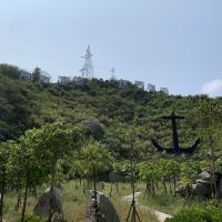 評論圖片 7