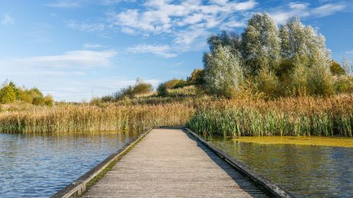 Brockholes Nature Reserve