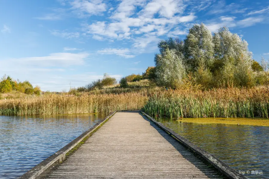 Brockholes