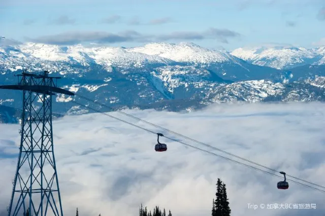 又是一年滑雪季！海外熱門滑雪地大盤點