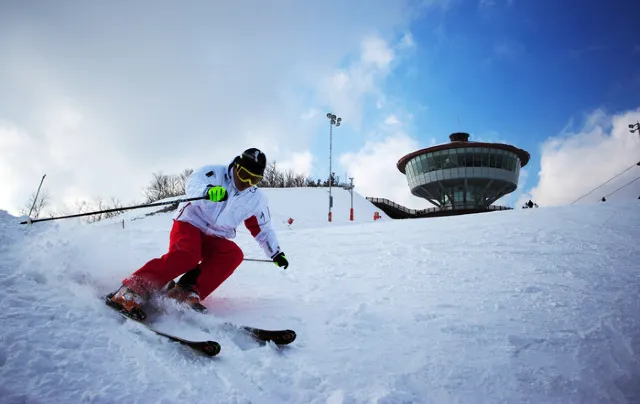 【首爾滑雪】新手必備！8個首爾周邊滑雪場推介