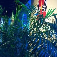 South Beauty( Zhengda Plaza ) User Photo