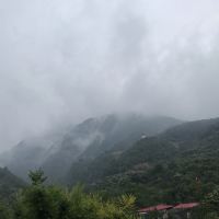 評論圖片 1