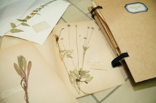 Top Museums in Luxembourg: Guide for First Time Visitors