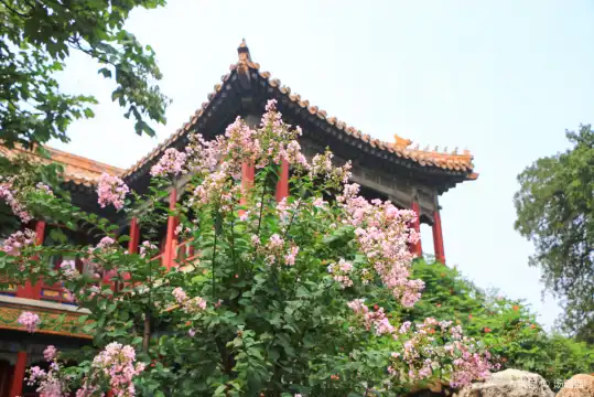 Hotels near Qin'an Palace