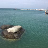 評論圖片 7