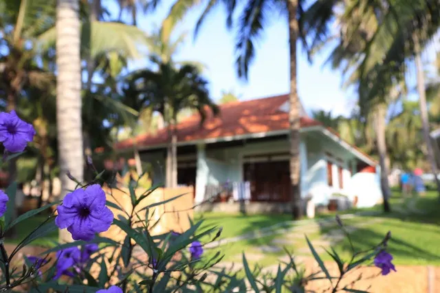 9 Things That Must Be Done in Seaside Resort Mui Ne