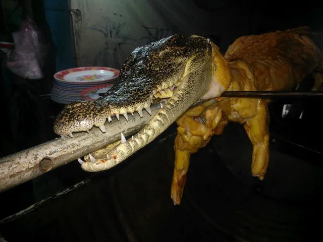 9 Things That Must Be Done in Seaside Resort Mui Ne