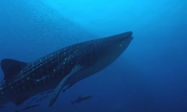 Top 10 Must-See Places in Krabi