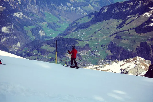 Gallop Among Towering Snowy Mountains with a Panoramic View of the Alps