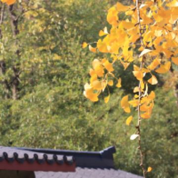 評論圖片 1