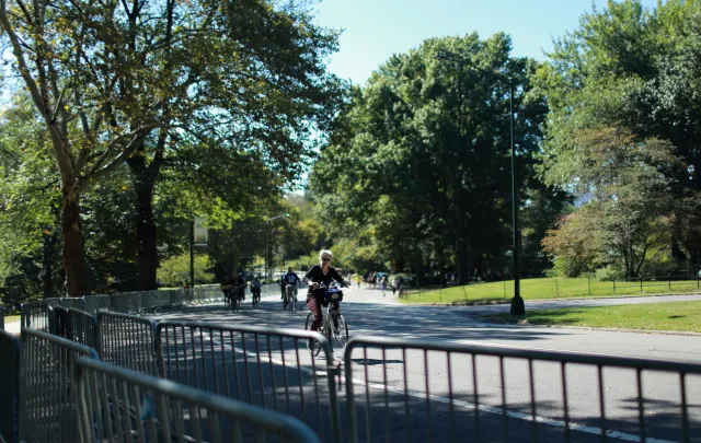 Free Things to Do in NYC: Top List 2025