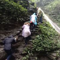 評論圖片 2