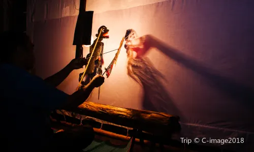 Xi'an Shadow Puppetry Show