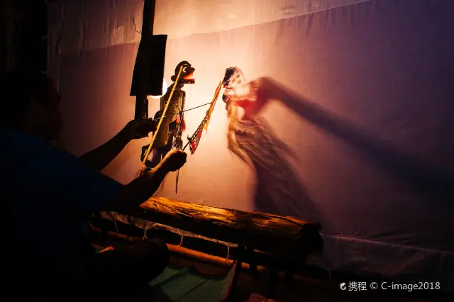 Shadow Puppetry Show in Xi'an