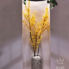烤官达人·龙虾·烧烤 User Photo