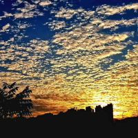評論圖片 1