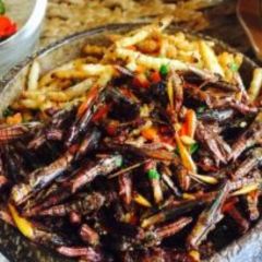 Man Li Jiang Restaurant User Photo