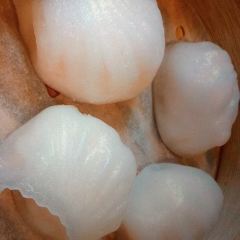 Forum Restaurant User Photo