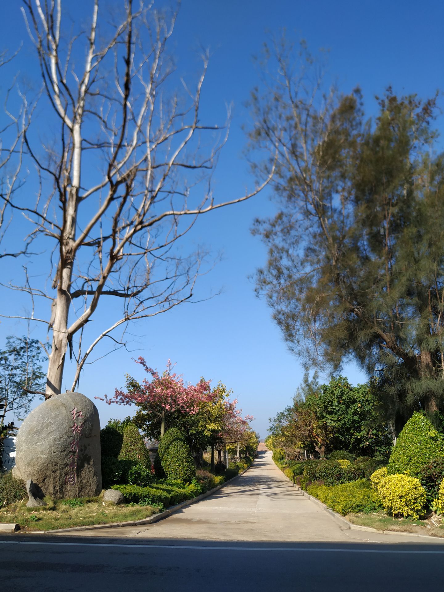 紅樹林公園旅遊攻略指南 紅樹林公園評論 紅樹林公園附近推薦 Trip Com 紅樹林公園旅遊攻略指南 紅樹林公園評論 紅樹林公園附近推薦 Trip Com