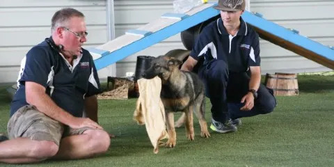 Lawdogs Australia