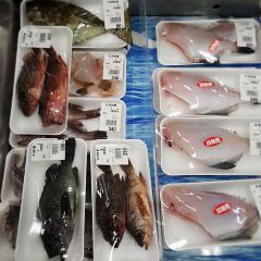 Kiya Sakana Ichiba User Photo