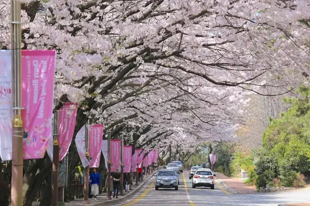 2026 부산 여행 3박4일 가이드 | 부산 가볼만한 곳부터 내돈내산 뜨끈한 돼지국밥 찐맛집, 부산 호텔 추천까지