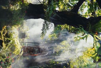 Chom Cafe and Restaurant User Photo